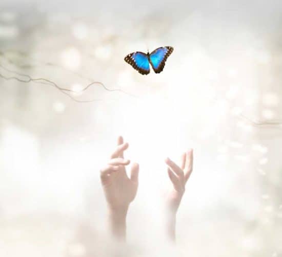Hands reaching butterfly